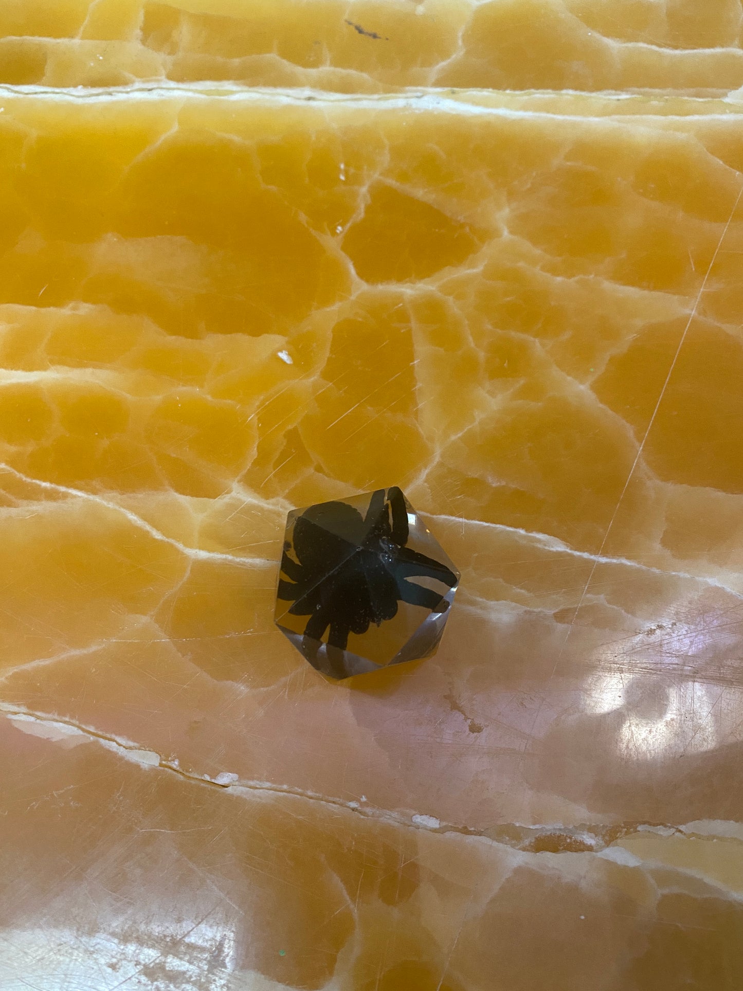 Faux Tarantula Encased in Resin – Handmade Crystal Clear Resin Spider Paperweight or Creepy Display Cube